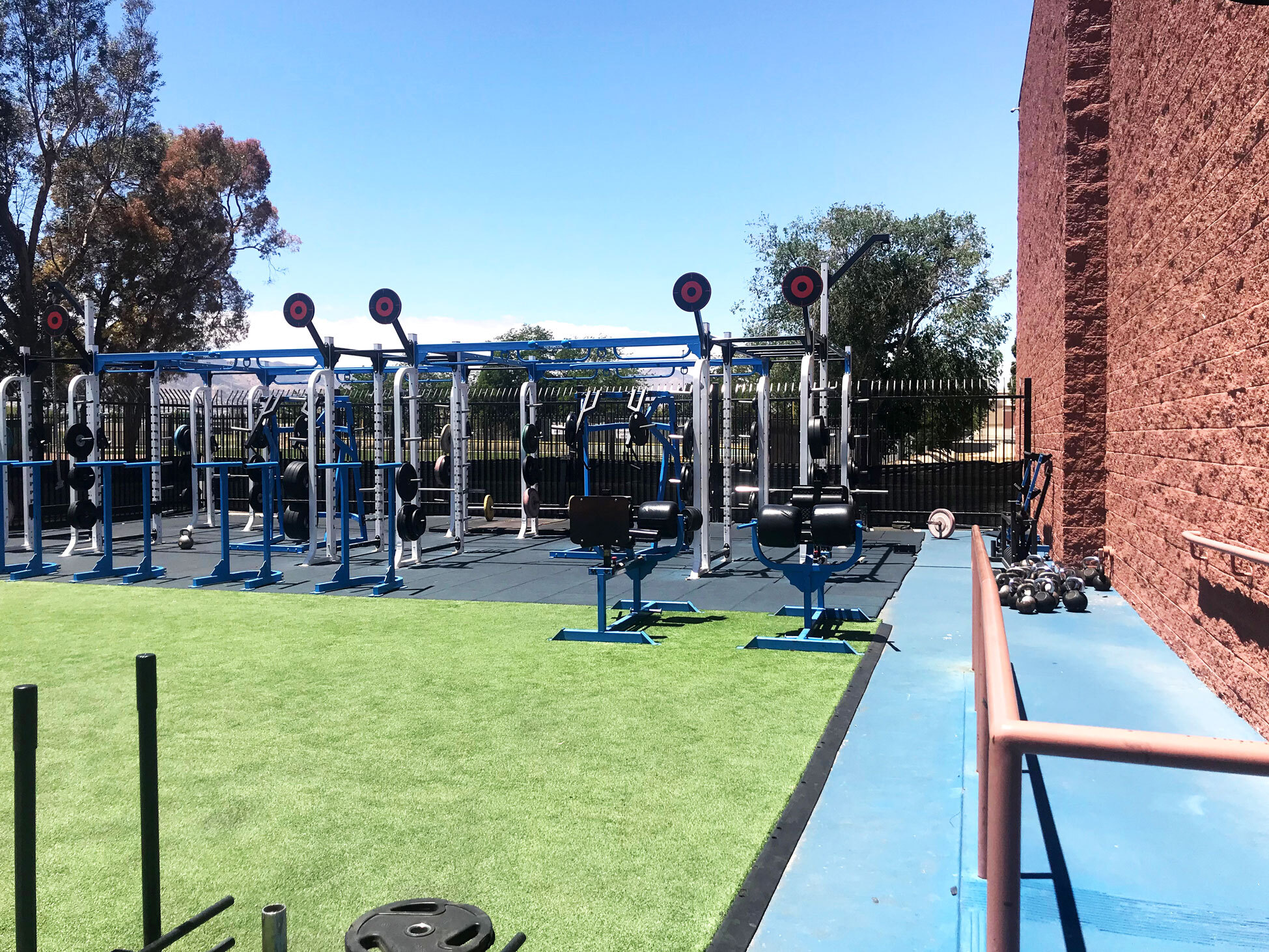 Outdoor Turf Area
