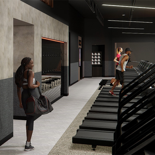 Wide Range of Cardio, Weights, & Machines