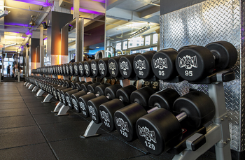 TONS OF WEIGHTS