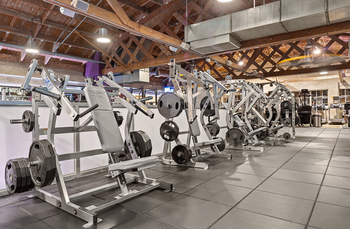 TONS OF WEIGHTS