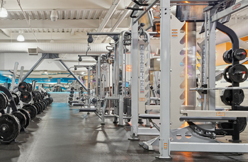 TONS OF WEIGHTS
