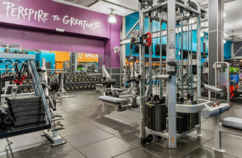 TONS OF WEIGHTS